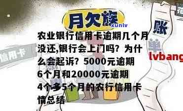 为什么农业信用卡逾期几个月都起诉了 农业信用卡逾期起诉原因解析