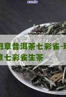 2006年七彩雀普洱茶 探究2006年七彩雀普洱茶的独特魅力与价值