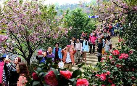 龙塘在哪：龙塘镇与龙塘风景区的位置与介绍