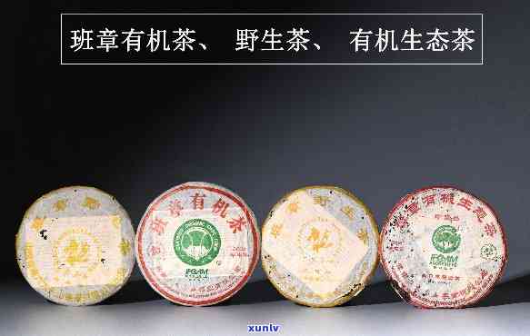 2006年份六大茶山班章有机生态茶：品鉴与鉴