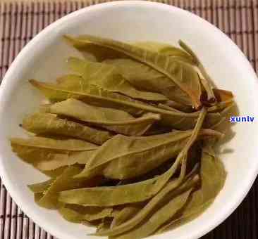 探秘老班章古树茶：独特特点与醇厚口感