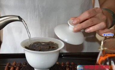 探秘老班章普洱茶：泡茶大师亲授冲泡技巧