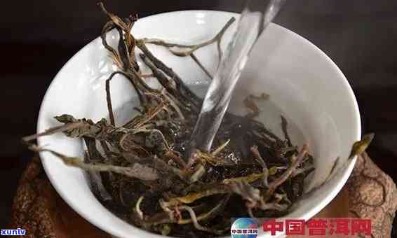 探秘老班章普洱茶：泡茶大师亲授冲泡技巧