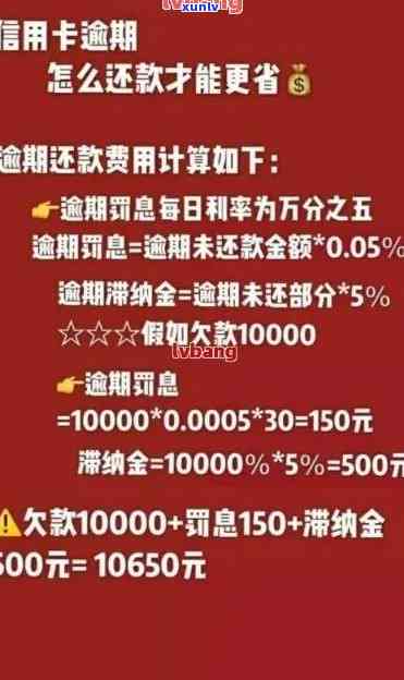 揭秘银行信用卡逾期还款的最长宽限期：你知道最多可以逾期几天吗？