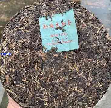 福海老班章熟茶2012：福海茶厂2011与2013年茶饼及古树生茶评测