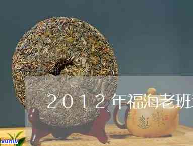 福海老班章2013-福海老班章2011