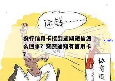 翡翠近十年的价格