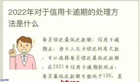 解决信用卡逾期难题：自救攻略全解析