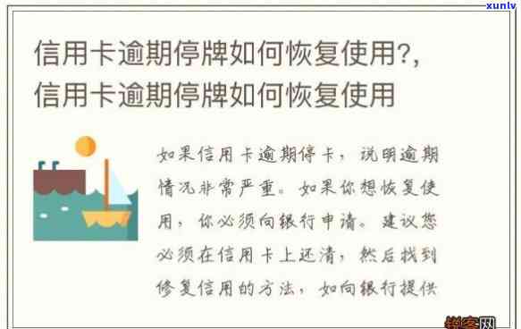 兴业信用卡逾期停息挂账怎么恢复使用和额度,停息挂账后能否恢复,逾期5000能否申请停息挂账