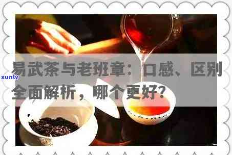 普洱茶易武和班章有什么区别：王者风味与柔茶韵的对比