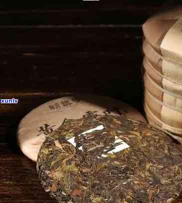 老班章普洱茶怎样正确品鉴与冲泡保存