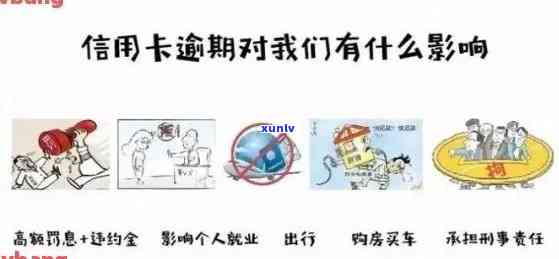 旅游信用卡逾期会怎样处罚：了解旅游消费信用卡用途及国内旅游卡使用规则