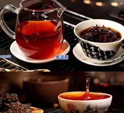 老班章熟茶怎么泡制：普洱茶泡法指南