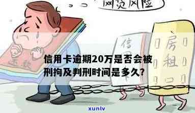 信用卡逾期20万元，是否会面临刑事处罚？