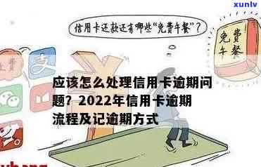 2022年信用卡逾期处理流程详解：持卡人指南