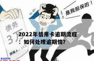 2022年信用卡逾期处理流程详解：持卡人指南