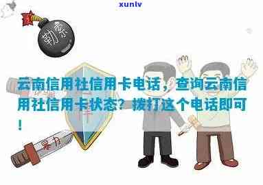 云南省信用卡银行包括哪些， ***  *** 是多少，共有几家，信用社信用卡详情