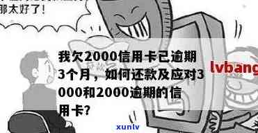 信用卡2000元未还逾期，注意事项与解决 *** 