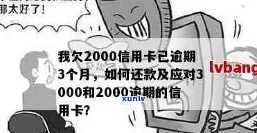 信用卡欠款2000元逾期-信用卡欠款2000元逾期怎么办