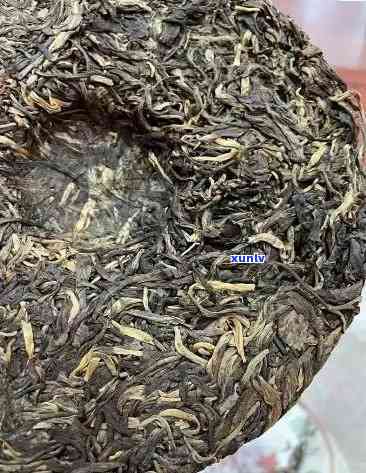 探寻福海老班章2013茶饼的独特魅力