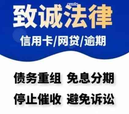 西青区信用卡逾期法律咨询热线：专业律师为您解答