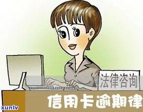 西青区信用卡逾期法律咨询热线：专业律师为您解答