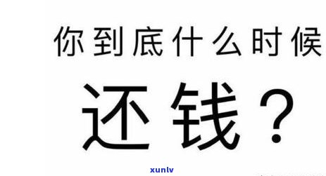 信用卡逾期还款引发法律纠纷，法院作出严判决