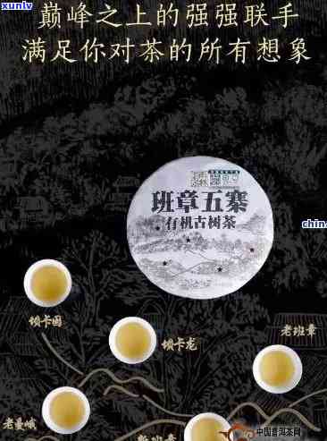 顺时兴官网：一站式解决方案，满足您在生活、工作、娱乐等方面的需求与疑问