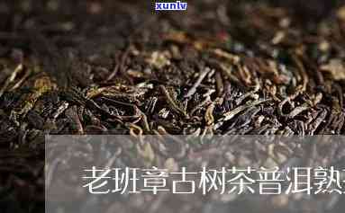 古树普洱熟茶老班章-古树普洱熟茶班章产区