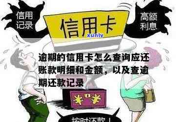 怎么查逾期的信用卡账单、还款记录、额度及欠款本金