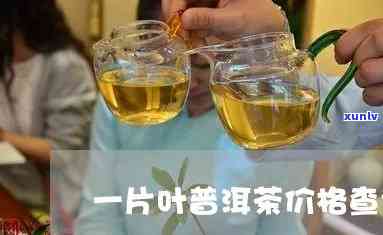 一叶成茗普洱茶叶多少钱：一叶一茗茶叶价格解析