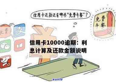 信用卡10000元逾期利息计算：逾期一个月、一年及十天利息金额