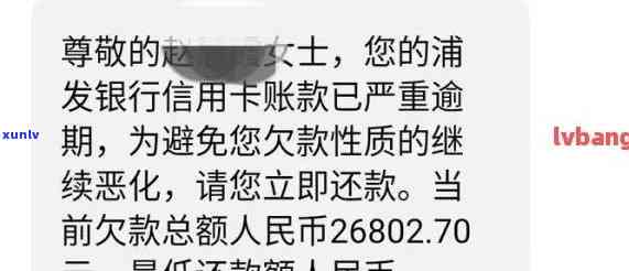 泡普洱茶的合适水：探究度以及如何根据茶叶种类和个人口味进行调整