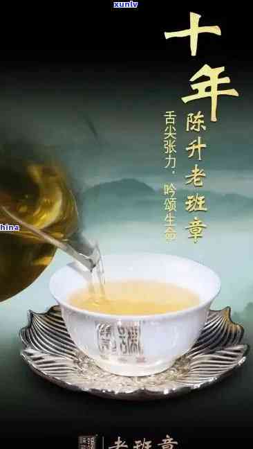 十年陈酿，老班章普洱茶的独特魅力