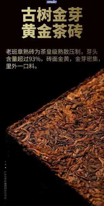 老班章金砖普洱茶：稀世珍品，价格走势揭秘