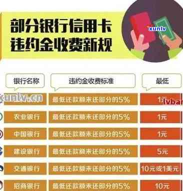 信用卡怎么算逾期次数-怎么查信用卡逾期金额