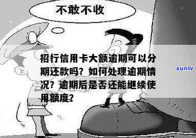 如何妥善处理大额信用卡逾期问题