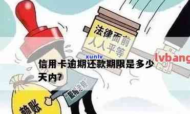 信用卡逾期还款申请期通常可获得多久宽限期？