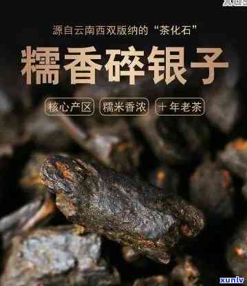 探秘普洱碎银子：深入了解这一独特茶叶的精髓