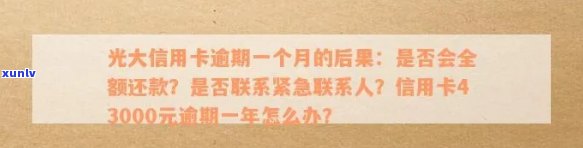 光大信用卡43000元债务逾期一年，持卡人面临何种后果？