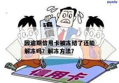 如何解决逾期冻结的信用卡问题