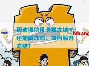 因逾期信用卡被冻结了还能解冻吗：逾期后信用卡解冻 *** 指南