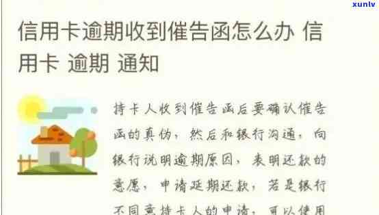 贷款信用卡逾期情况说明怎么写：银行版范文与情况陈述指南