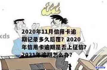 信用卡逾期多久会更新记录，信用卡逾期多久上，2021年信用卡逾期影响