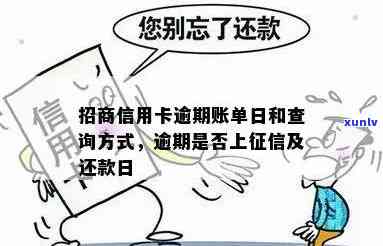 如何查看招行信用卡逾期账单？