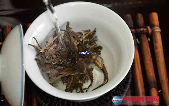 普洱可以用冷水泡吗：冷水泡茶指南与时间掌控