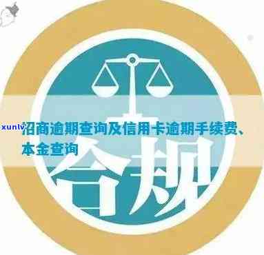 详解如何查询招商信用卡逾期手续费具体金额