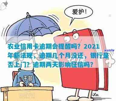 我信用卡逾期了会影响工作吗？2021年信用卡逾期对和就业安全的影响