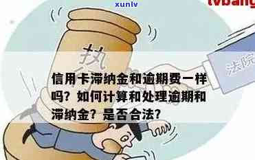 信用卡逾期还款几天会产生滞纳金？