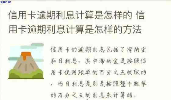 信用卡逾期利率详情：计算方式及更高利率，逾期利息减免可能性分析